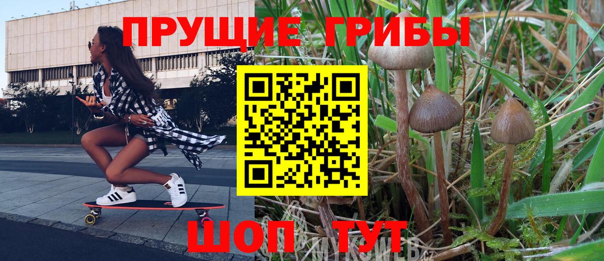 Псилоцибиновые грибы Magic Shrooms Киров
