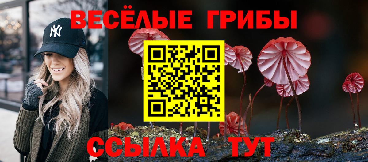 Киров  Псилоцибиновые грибы Cubensis  Вход с VPN  Галлюциногенные грибы MAGIC MUSHROOMS 